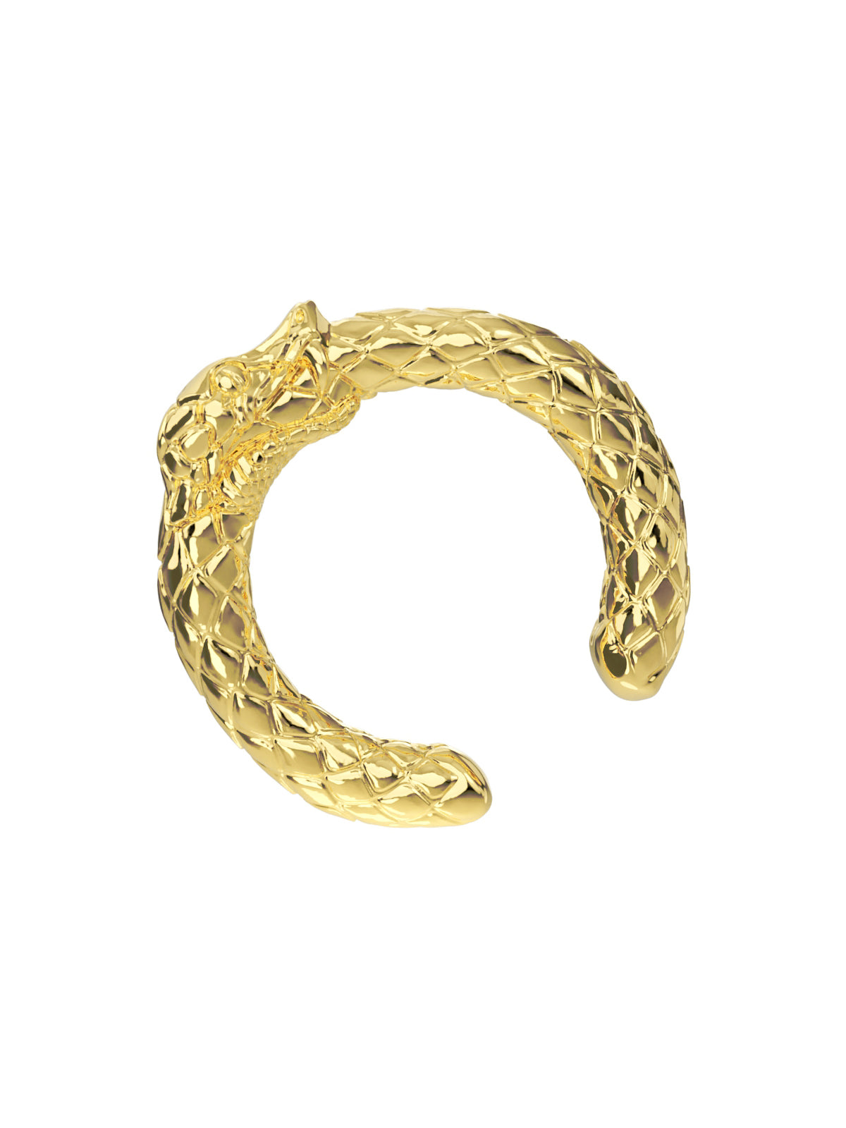 Ouroboros Ear Cuff