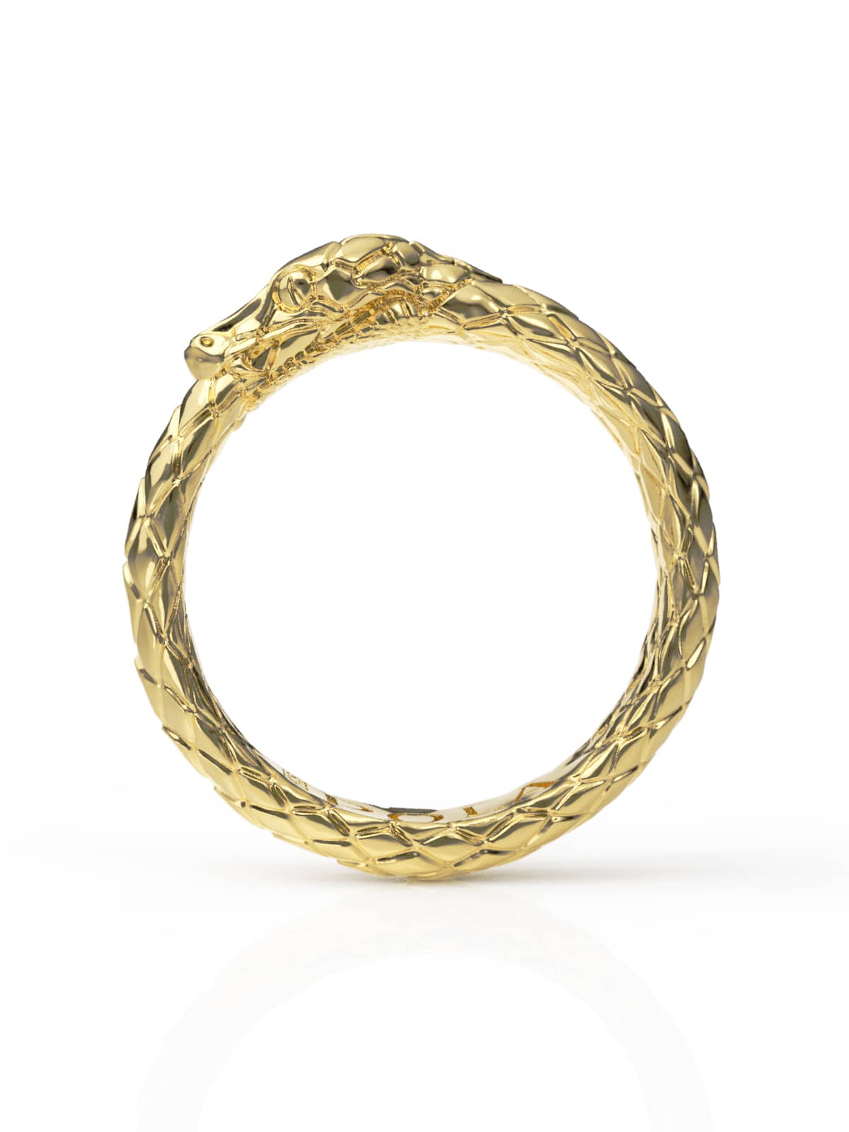 Ouroboros Ring