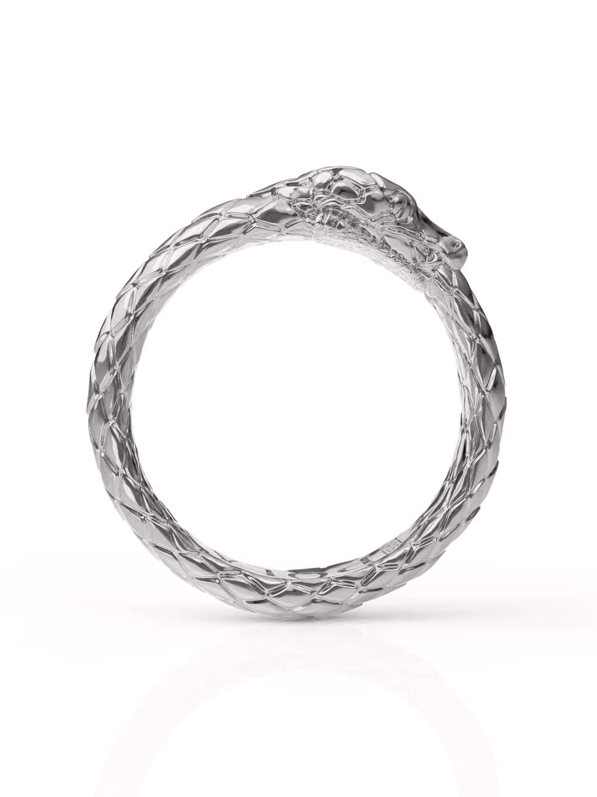 Silver Ouroboros Ring – Symbolic & Timeless | Pola Jewellery Silver Ouroboros Ring – Symbolic & Timeless | Pola Jewellery