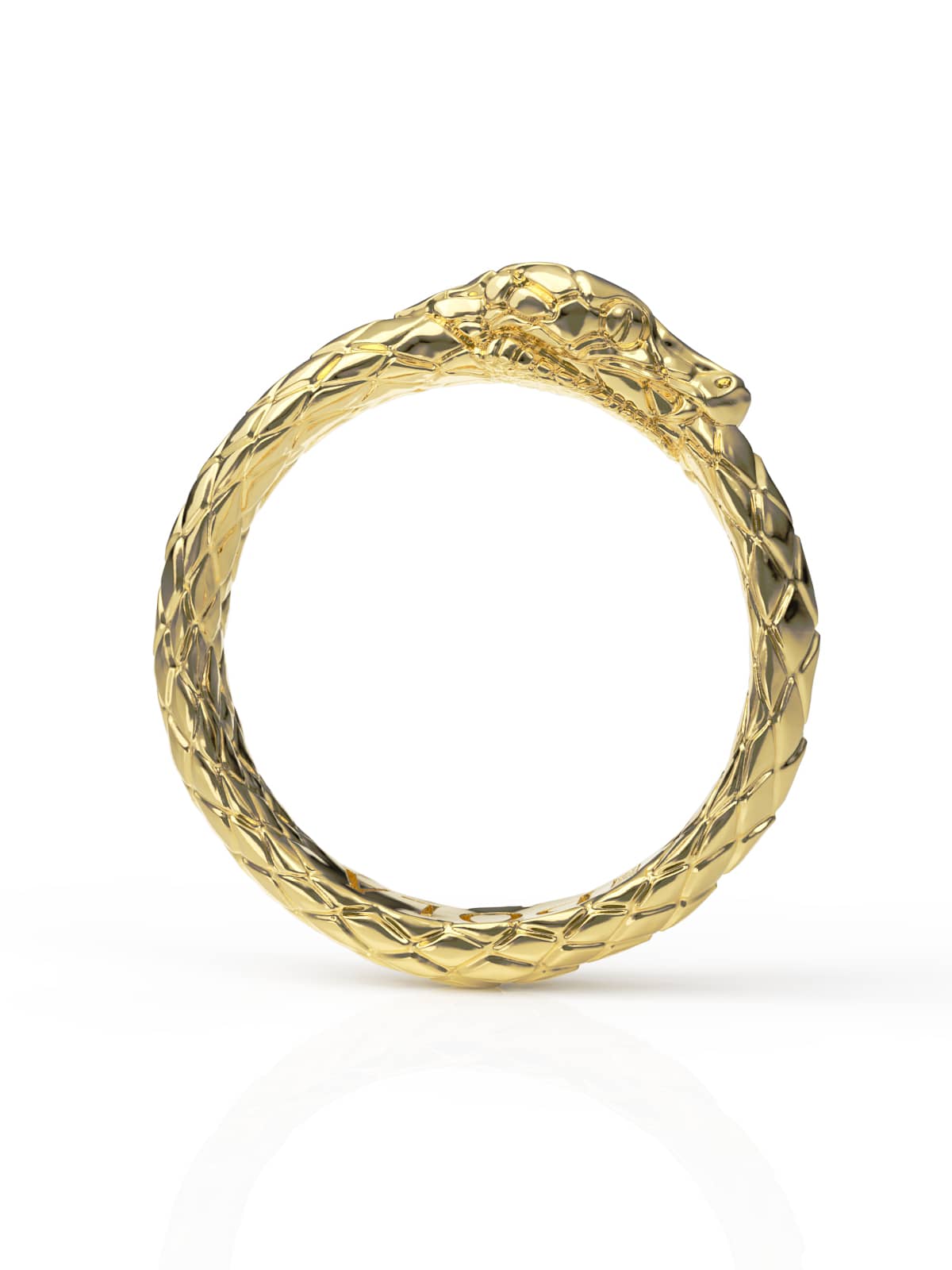 Ouroboros Ring