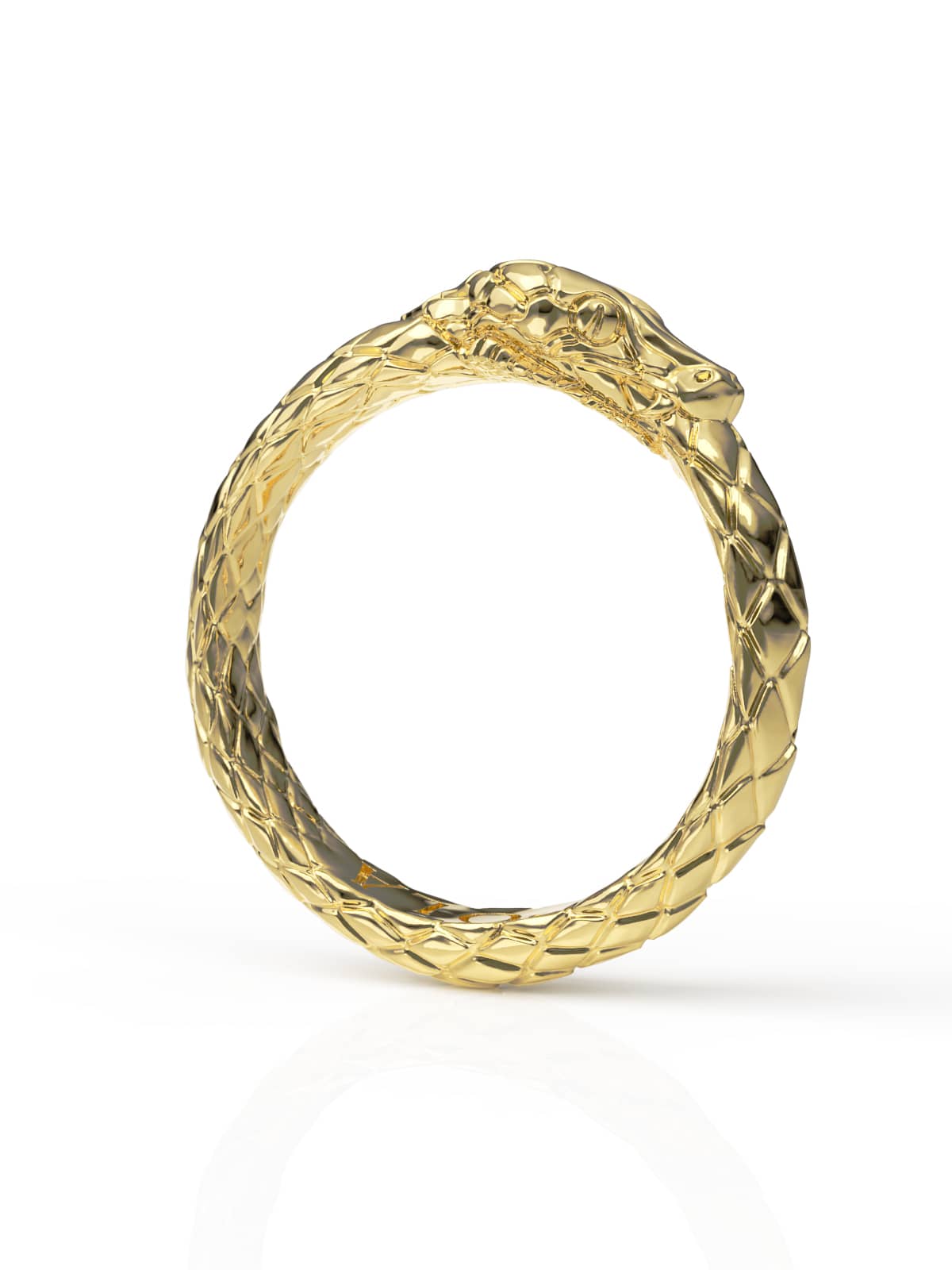 Ouroboros Ring