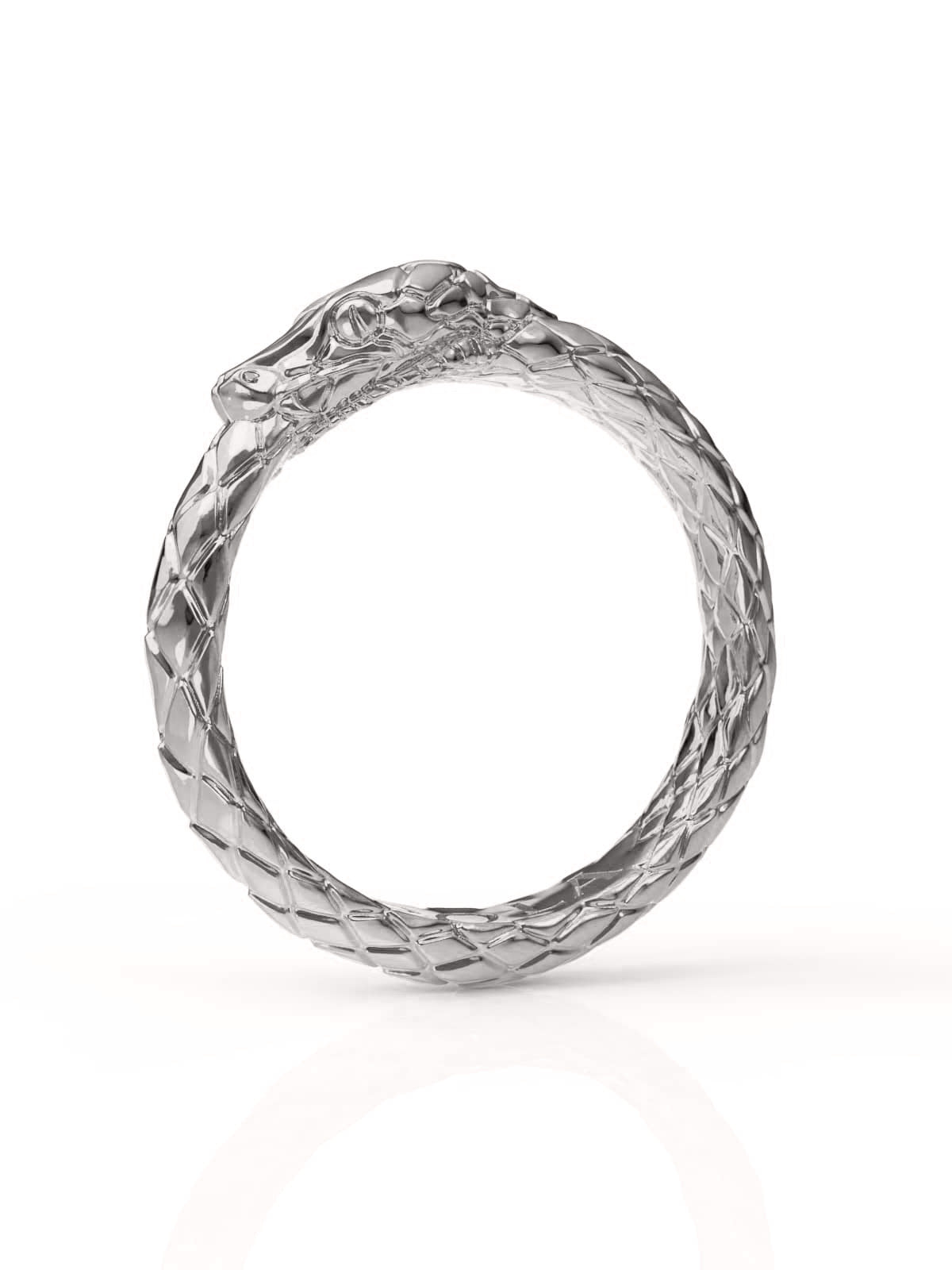 Ouroboros Ring