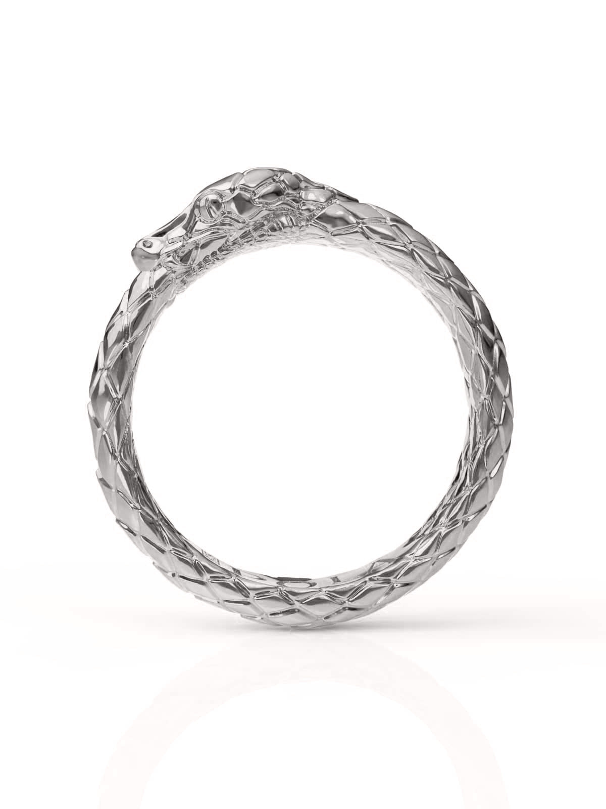 Ouroboros Ring