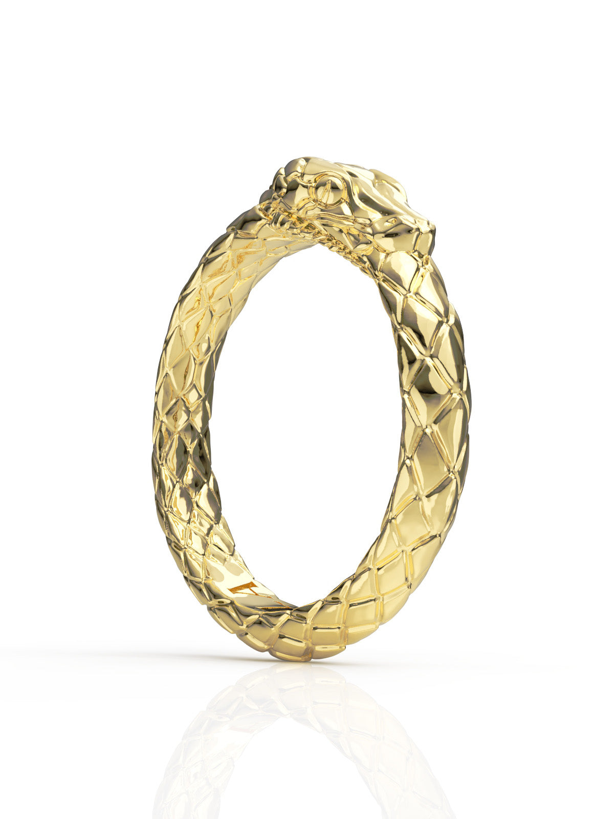 Ouroboros Ring by Pola Jewellery – gender-neutral statement ring symbolizing eternal love, infinite power, and self-renewal
