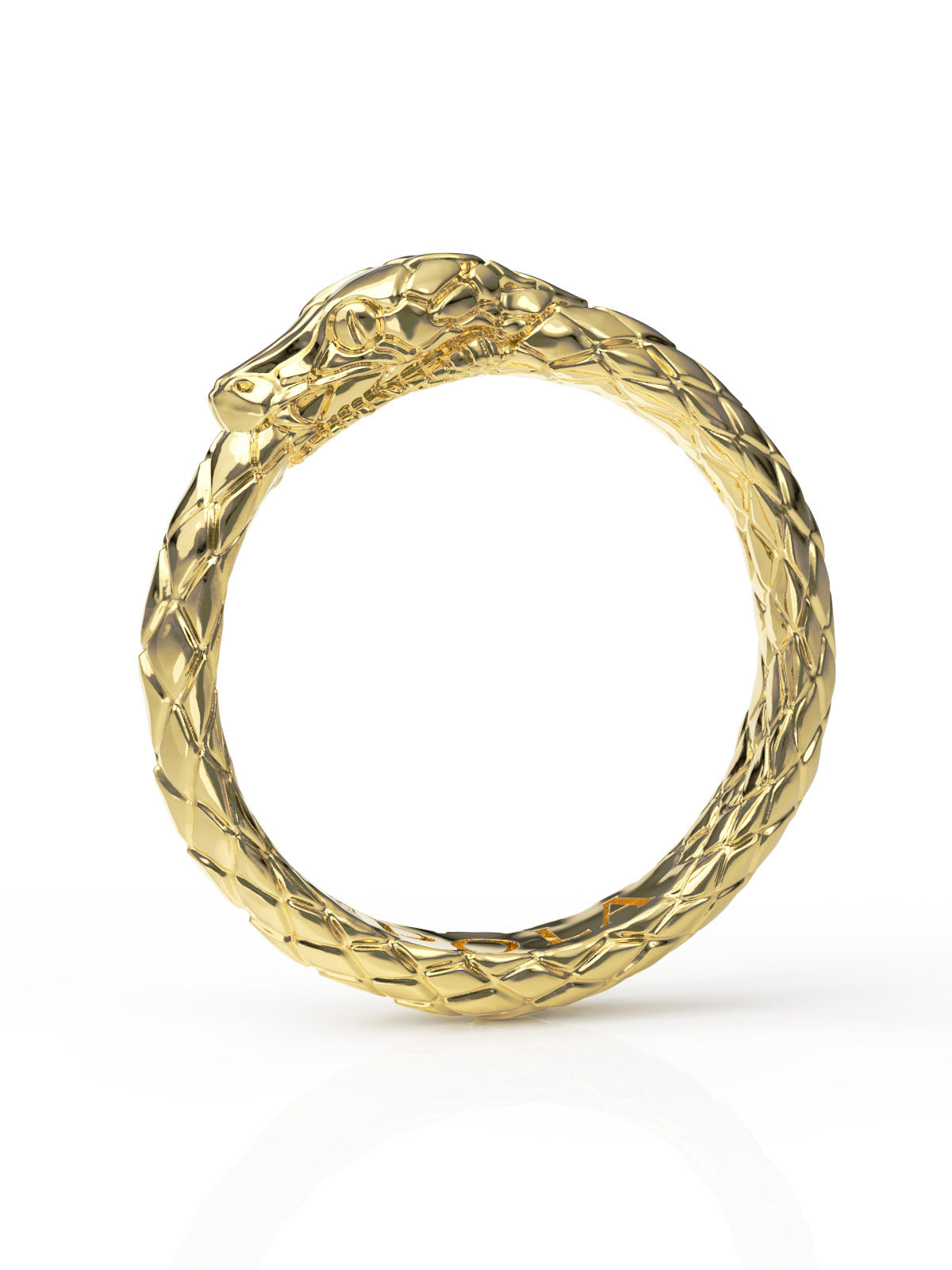 Silver Ouroboros Ring – Symbolic & Timeless | Pola Jewellery