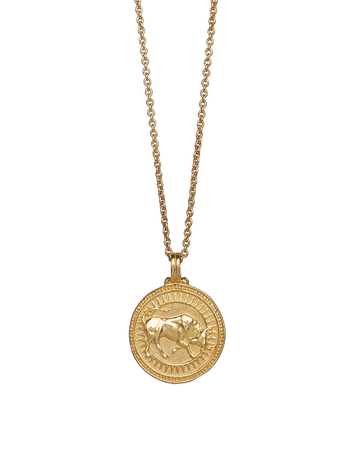 Close-up of Pola Jewellery’s Taurus Zodiac Sign Necklace in gold vermeil, engraved with the bull — symbol of strength, sensuality, and stability.
