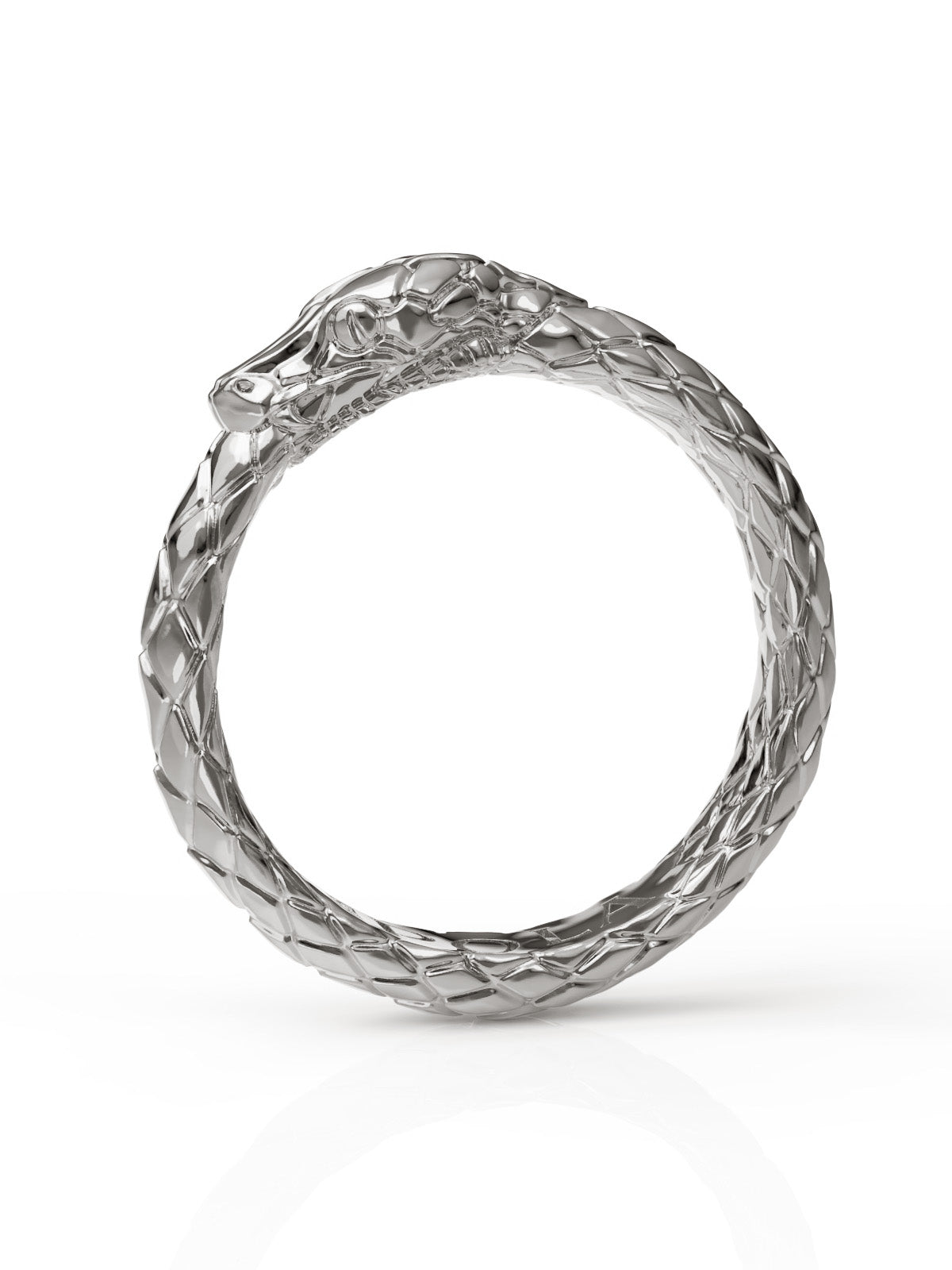 Ouroboros Ring by Pola Jewellery – gender-neutral statement ring symbolizing eternal love, infinite power, and self-renewal